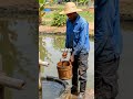 They Dug the Fish Pond First… Then Built the Whole House On Top