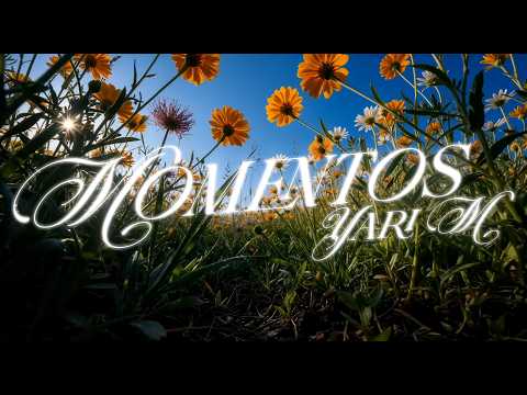 Yari M - Alocate (Official Visualizer)