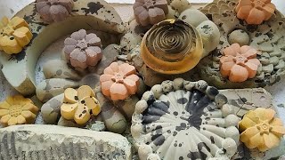 Soft Satisfying Reforms| ASMR| Anxiety Relief| Sleep Aid| Oddly Satisfying screenshot 4