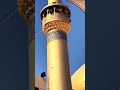 كاع النجف درة 🤎 حيدر البياتي  #shorts