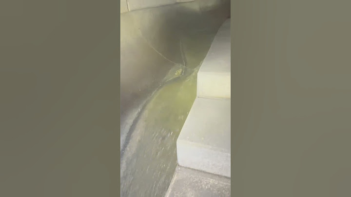Deswegen lieben wir es die Kanalisation zu erkunden 😍 #sewer #kanalbau #kanalisation #kanalvision