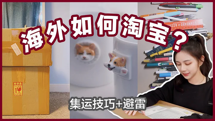 如何海淘 | 四种集运方式 | 在海外怎么淘宝？| 转运Tips - 天天要闻