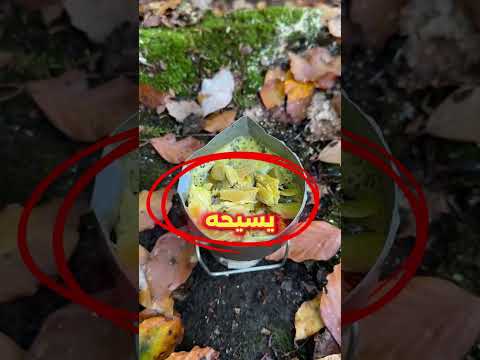 This Guy Made A Candle In A Brilliant Way In The Forest 