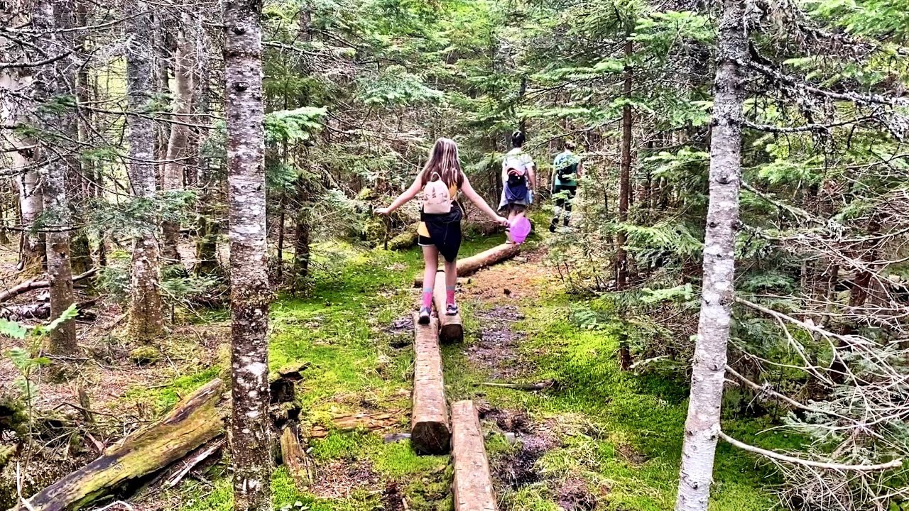 Deer Mountain Fire Tower Trail New Hampshire Hiking nhcaravan YouTube
