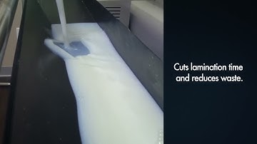 The Next Star of Your Shop