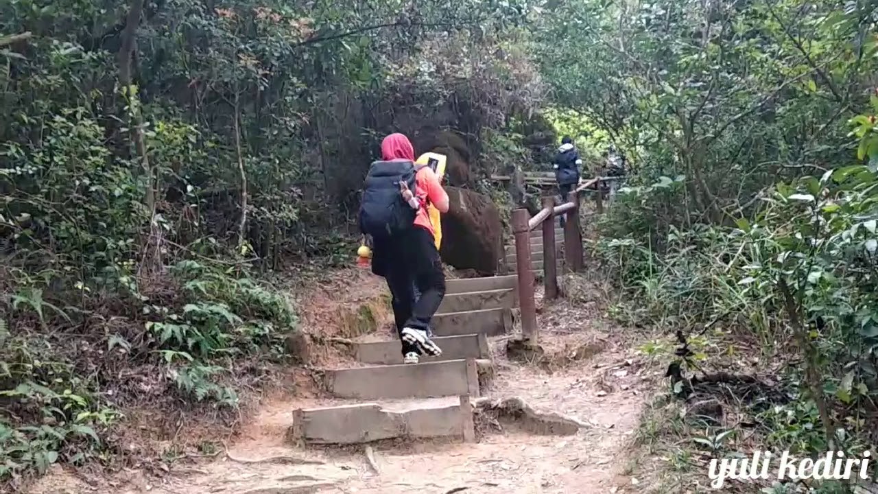 tai tam country park QUARRY BAY EXTENSION (17-03-2019)