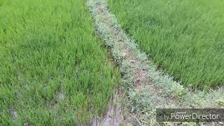 Bến nước Buôn mrơng B xã eatu.