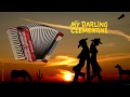 Oh My Darling Clementine ( accordion cover )