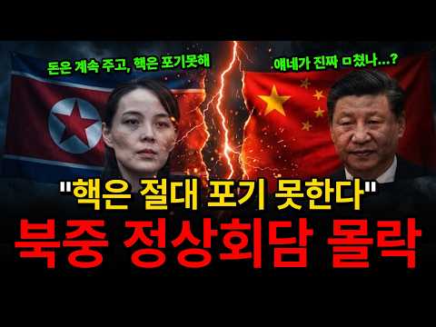 "핵보유국 절대 불퇴" 시진핑 방북 하루 전, 김여정이 그은 선이 우리 환율을 흔드는 이유