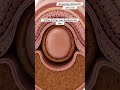 What If Your Gut Look Like This? Drinking Water Help | Gut Health |Anatomy Stomach Arts Uk