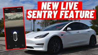 Tesla Live Sentry Mode Camera Update | 2021 Tesla Model 3 & Y Tesla Live Camera Not Working