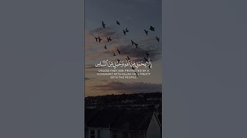 🌺✨لن يضربكم إلا أذى🎙️المقرئ:نايف الفيصل 📖سورة آل عمران💫 |الآية {111}|