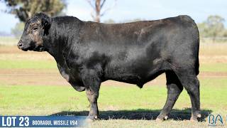 LOT 23 BOORAGUL MISSILE V94