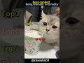 #FunnyCats #CatFails #SillyCat #FunnyPets #CatShorts #TrendingCat