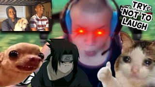 (Try Not To Laugh) Best Meme Compilation V70