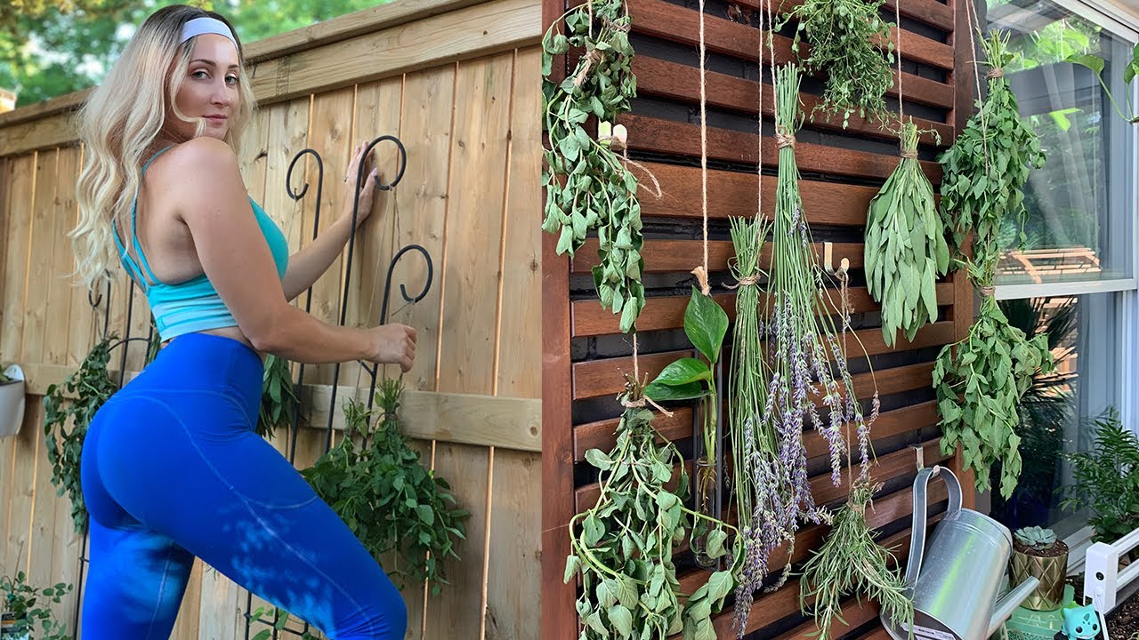 Sexy Herbs 101 : Cutting and Drying Fresh Herbs! I HOLLY WOLF - YouTube