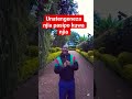 Gospelmusic Choir Worshipmusic Gospelsongs Music Yeeshu Funny Viral Gospelartist Duet Gospelmusic Choir Worshipmusic Gospelsongs Music Yeeshu Funny Viral Gospelartist Duet