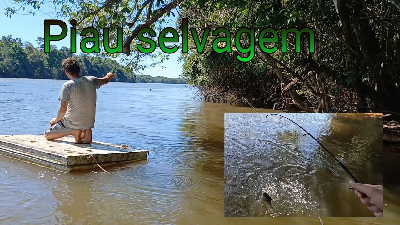 PESCARIA DE PIAU SELVAGEM NA CE! Ação na Água!