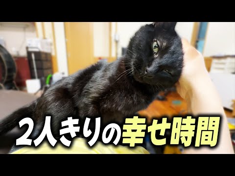 ねこくみゃちゃんケープ　クロ　6/20削除 When I was alone with Kuro-chan after a long time, I couldn
