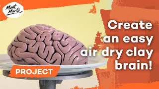Create a brain model out of air dry clay