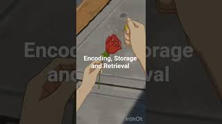Encoding, Storage and Retrieval #facts #psychology #support #trending #youtubeshorts #memory
