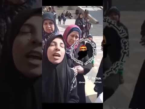 رساله الى السيد السيستاني من سوريين هربوا من جور الجولاني الى البنان قطعهم الجوع