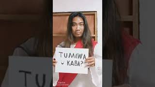 Tiktok Litetry Not Too Laugh Hard Mode