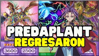yugioh chef deck Amazon.com: Complete Custom Deck for Yu-Gi-Oh!