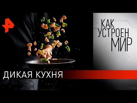 Дикая кухня. «Как устроен мир" с Тимофеем Баженовым (20.03.20).
