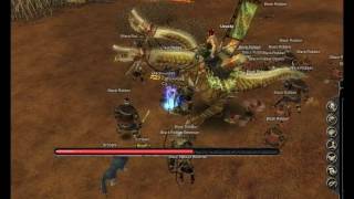 Silkroad - Uri kill 1.