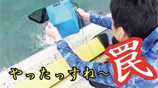 近所の漁港足下から餌を変えて罠を仕掛けた結果(344話目)