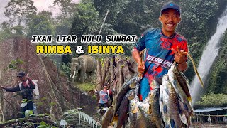 5 Days Trekking Through the Jungle to the River Headwaters | Fishing Camping