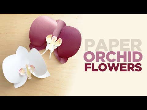 Paper Orchideebloemen | Hoe maak Paper Orchids | Bloem van het document Tutorial