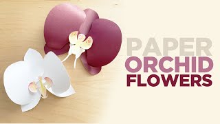 Paper Orchid Flowers | How to Make Paper Orchids | Paper Flower Tutorial Information