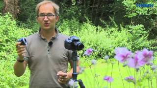 Makro Zwischenringe Für Systemkameras