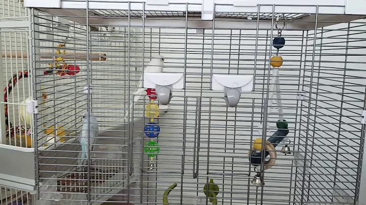 Review Vision Bird Cage (medium)