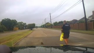 Watch as a Texas officer rescues a wounded hawk in the road