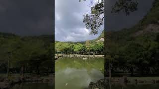 1091111.北投貴子坑賞大鳥吞嚥大魚-2