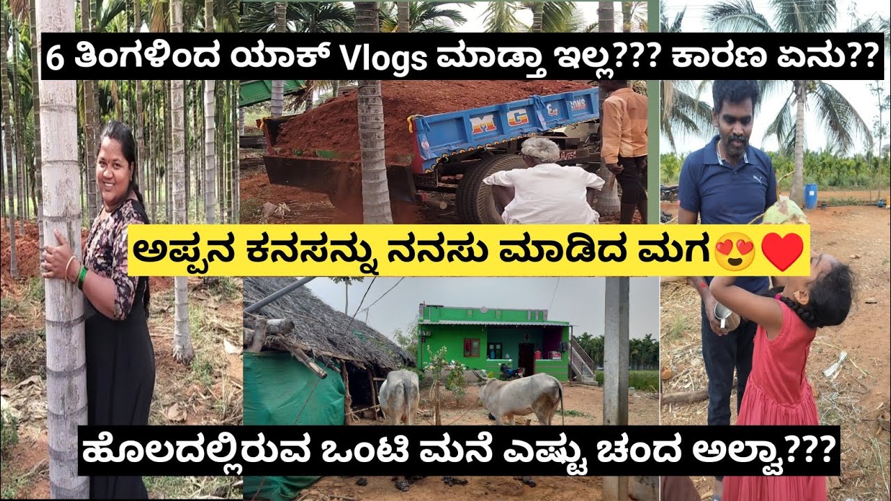 6 ತಿಂಗಳಿಂದ ಯಾಕೆ Vlogs ಮಾಡ್ತಾ ಇರ್ಲಿಲ್ಲ?? ಕಾರಣ ಏನು??ರಾಗಿ ಹೊಲ🌾,ಹಳ್ಳಿಮನೆ🛖 #RoopaNaveenvlogs #villagelife