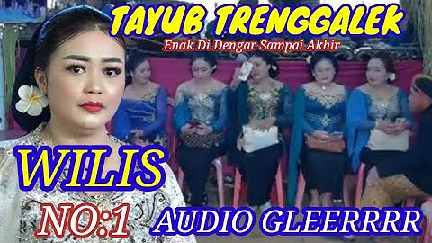 🛑Tayub Trenggalek No:1 Wilis Enak Di Dengar Sampai Akhir Bass Glerr