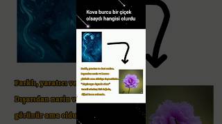 Kova burcu bir çiçek olsaydı hangisi olurdu sizce?#aquarius #kovaburcu #shortvideo #burçyorumları
