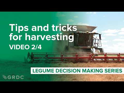 Legume harvesting (lentils): Tips and tricks for growers