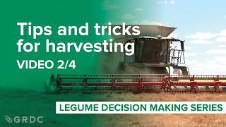 Legume harvesting (lentils): Tips and tricks for growers