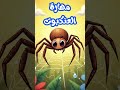 مهارة العنكبوت أنشودة محفوظات اكسبلور السنة الثالثة