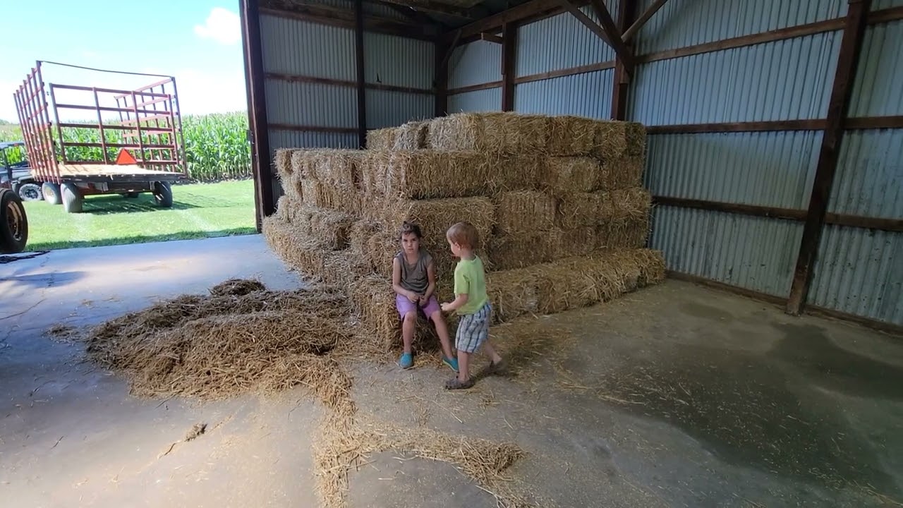 to the Moser Family Farm YouTube