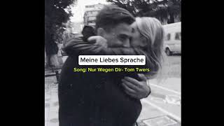 Cr:@em00806/TiktokSong: Nur Wegen Dir- Tom Twers#tomtwers #musik #viral #liebe