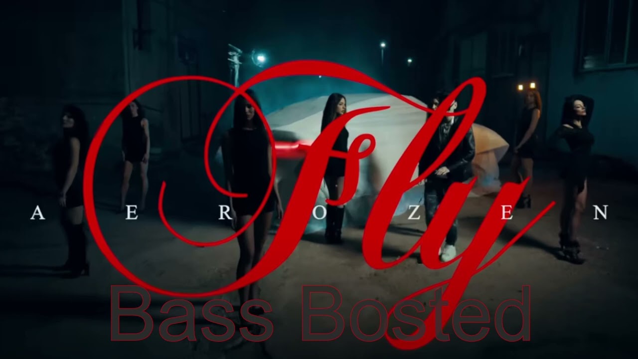 Aerozen - FLY (Neofficial Music Video)