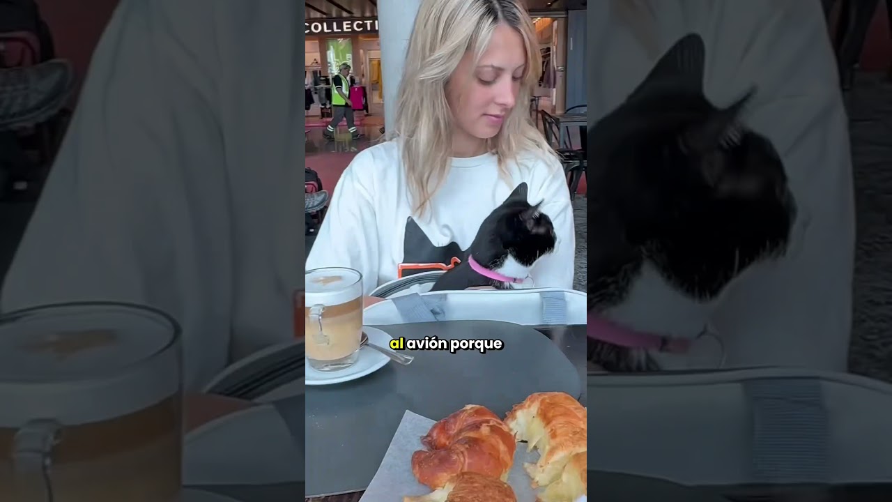 Así se puede emigrar a España con mascota en 2025 ￼