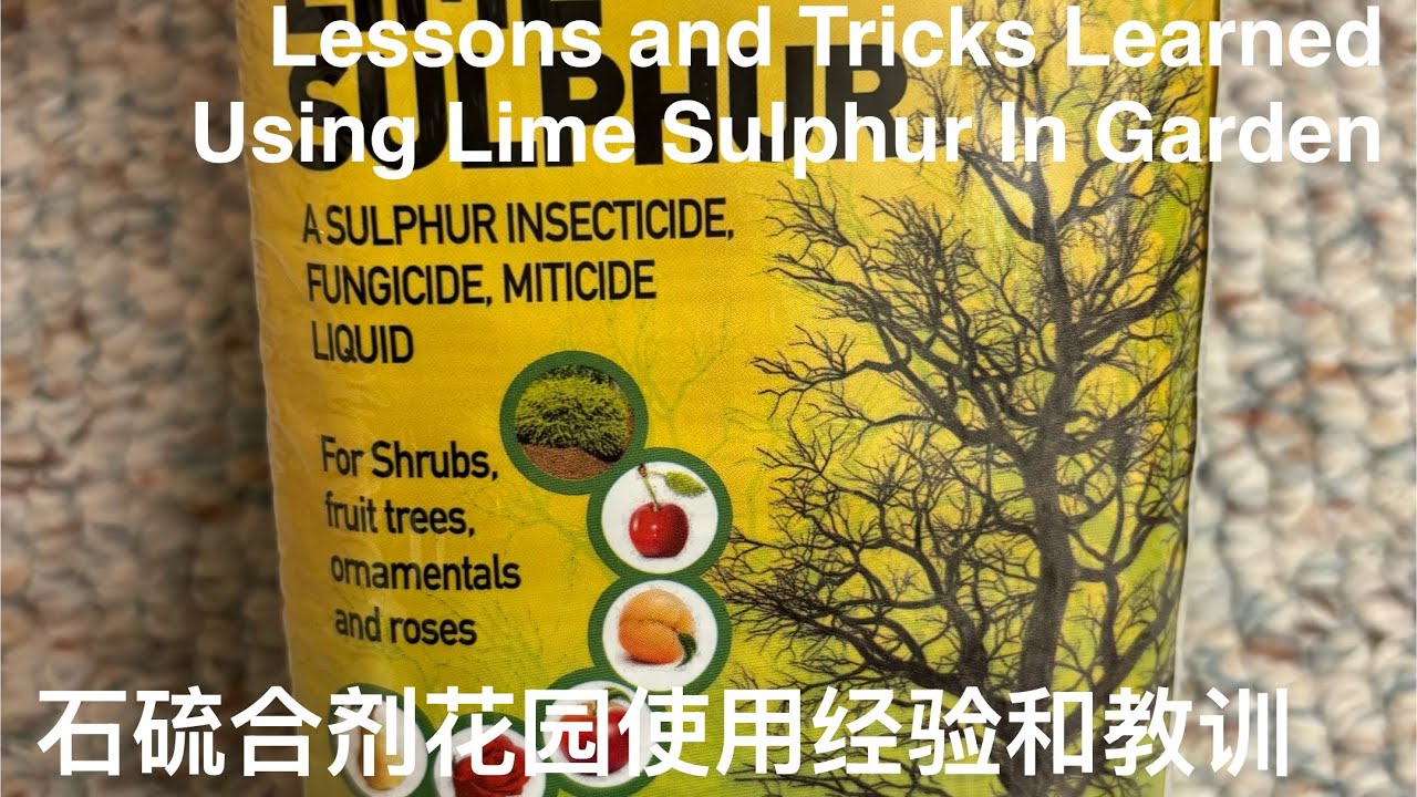 石硫合剂 - 实际运用的经验总结