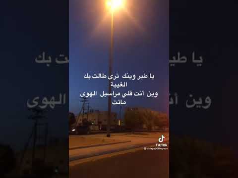 فارس مهدي ياطير